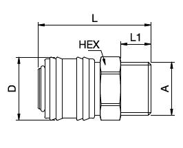 rectus parametry